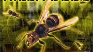 Wu-Tang Killa Beez - 