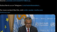 WHO Global Digital Health Certification Networkin effect, a global vaccine passport network, soon to