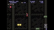Mario Forever Mario In The Forest Chapter 4 Classic Arcade
