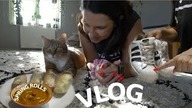 VLOG: SPRING ROLLS, WYBIELANIE BUTÓW