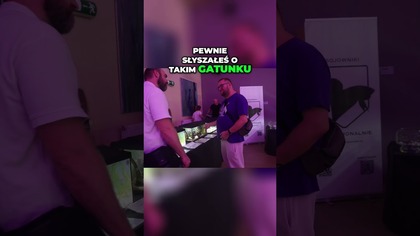 Egzotyczne Ryby w Akwarium Phalichthys Quadripunctatus!