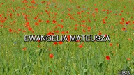 1.  UBG - Ewangelia Mateusza