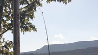 Rio Ebro LIVE Catfish Fisching