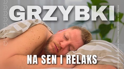 Grzyb, który zredukuje stres i sprawi, że w końcu się wyśpisz.  Jak działa reishi?