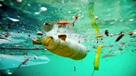 Plastik.  Cichy zabójca naszego świata