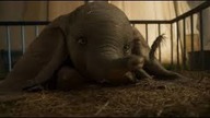 Dumbo - Zwiastun PL (2019)