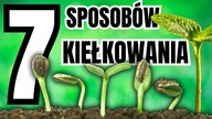 7 SPOSOBÓW KIEŁKOWANIA | e1s02