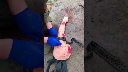 Staza Taktyczna SAM XT TQ | Trening na ONA Trauma Arm | Ratownik Pola Walki | TCCC #SAMXT #SAMXTTQ