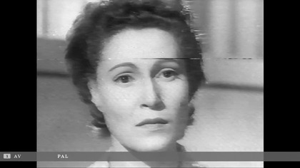 K 9.  Pirat... VID-1719240574985 (1)