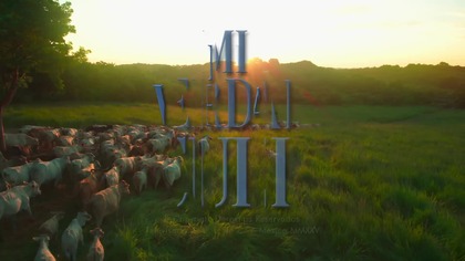 Mi verdad oculta 006 NAPISY PL