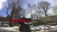 Niesamowite ruchy 372