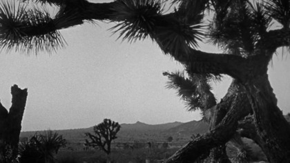 SF.  - THEM.  MRÓWKI.  - One.  (1954) napisy