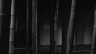 1968 Kuroneko (Kobieta kot) Napisy PL