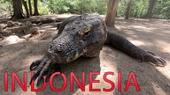 Indonezja - Morska Wyprawa Do Krainy Smoków z Komodo i Rajskich Wysepek (2) - Padar - Komodo