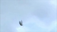 Side Liner - I Am A Bird Now (feat.  Kerensa Stephens)