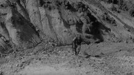 Ognie polne (1959) napisy pl