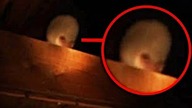 STRASZNE PARANORMALNE NAGRANIA KTÓRYCH LEPIEJ NIE OGLĄDAĆ SAMEMU!