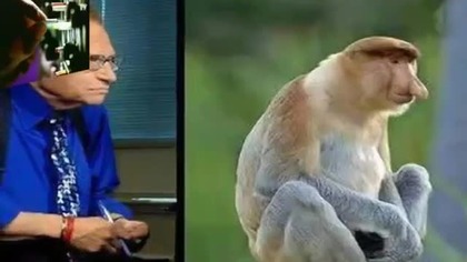 WYGLĄDA DOKŁADNIE JAK???