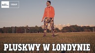 Pluskwy w Londynie - Q&A