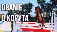 JAK DBAĆ O KOPYTA