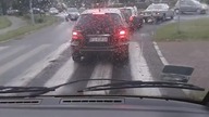 Kwiat polskiej młodzieży
