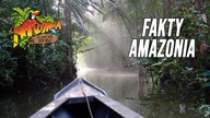 FAKTY O AMAZONII