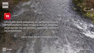Zanieczyszczenia wód na Świecie