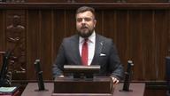 Projekt niedostosowany do polskich realiów - Michał Urbaniak