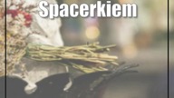 Spacerkiem między grobami.  To wystawa w sam raz na listopad