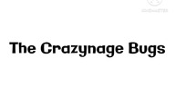The Teenager Bugs - The Crazynage Bugs (2017)