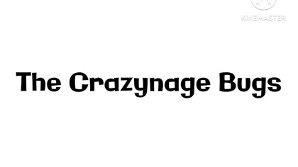 The Teenager Bugs - The Crazynage Bugs (2017)