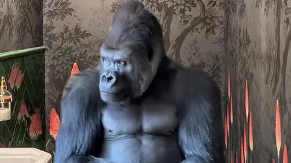  #życie #jakietoprawdziwe #humor #śmiech #komedia śmiech #funny #shorts #telefon #toaleta