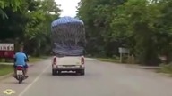 Kompilacja Faili Czerwiec 2016