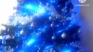 Ladybird Lu and the Christmas Tree Animation