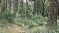 D. o. m. e. k Na P. r. e. r. i. i S03E10 - Myśliwi (cz. 1)