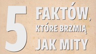 Tsunami w Polsce. Darłowo zalała wielka fala [Ciekawe ciekawostki #9]