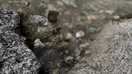 2021 | SWITZERLAND - SZWAJCARIA | VIDEO SHOT | CH |