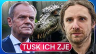 TUSK JAK KROKODYL! SOŚNIERZ UJAWNIA: TAK SKOŃCZY KOALICJA RZĄDOWA
