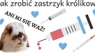 Jak zrobić zastrzyk królikowi