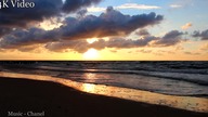 Sunset Sons | 4K Video Nature |