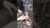 Biedny piesek! Ludzie to jednka potwory...  To cud że wyszedł z tego cało...
