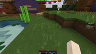 Minecraft na modach z widzami?
