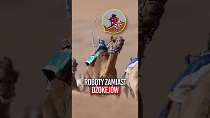 Roboty na wielbłądach
