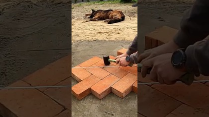 Miejsce na ognisko z prawdziwej cegły #herringbone #budowanie#ognisko #ogród