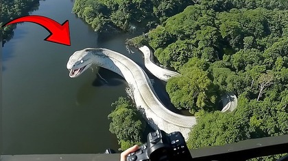 Te Przerażające Stworzenia Były Zamknięte Na Lata