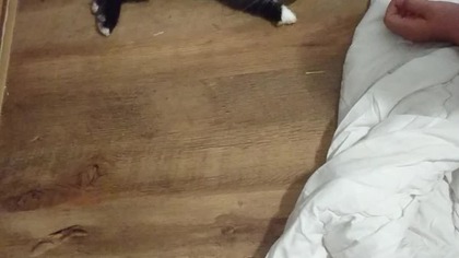 On nic nie mówi a i tak dyskutujemy