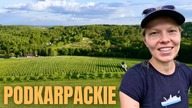 Odkryj Podkarpackie, co warto zobaczyć i jak robi się tu wino?