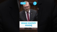Braun MIAŻDŻY Kraskę #shorts