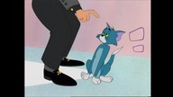 Tom i Jerry-Kot rezydencjalny