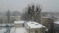 Duże Płatki Śniegu